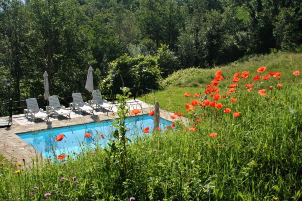 Casa Domenica - Home&More Monastero Bormida Buitenkant foto